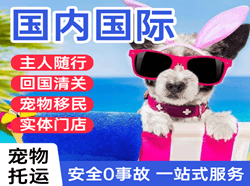 大连航空物流国际宠物托运 【国
